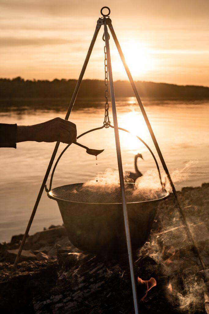 Cooking with the swan and the Danube